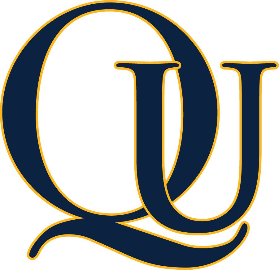 Quinnipiac Bobcats 2000-2017 Alternate Logo diy DTF decal sticker